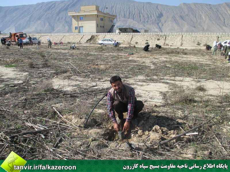 کاشت 1100 نهال به یاد هزار و صد شهید شهرستان