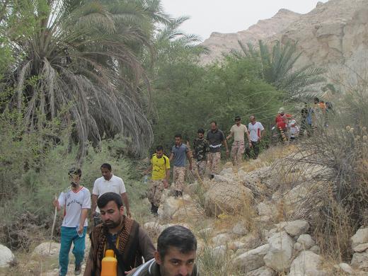 پیاده روی برد بلند کارکنان ناحیه مقاومت بسیج سپاه لامرد